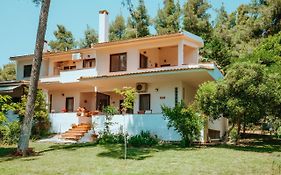 Forest House Near The Sea